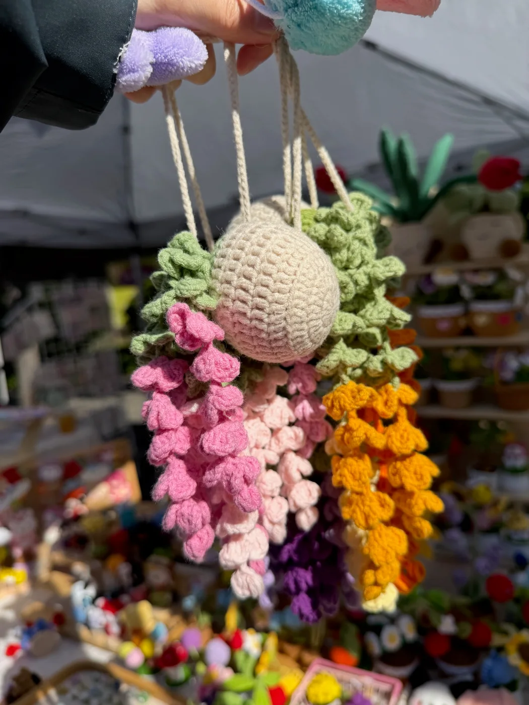 Rainbow Hanging Garden — original product photograph (8105)